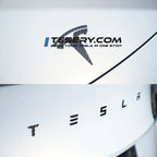 Model 3/Y Carbon Emblem